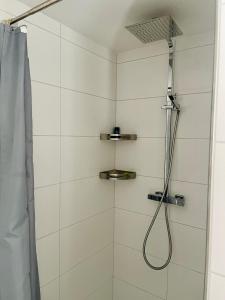 弗里茨拉尔Apartment Lindenstein的带淋浴喷头的浴室