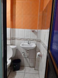 弗朗西斯科德奥雷利亚纳港Residencial RM的一间带水槽和卫生间的浴室