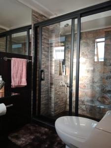 拉塞雷纳Tu Jardín Secreto的一间带卫生间和玻璃淋浴间的浴室