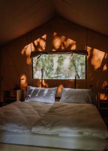 希欧福克Sioglamping in Siocamping的一间卧室设有一张大床和窗户