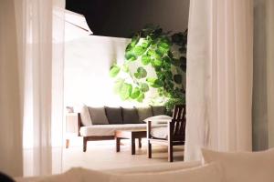 三亚三亚艾迪逊酒店的带沙发和一些植物的客厅