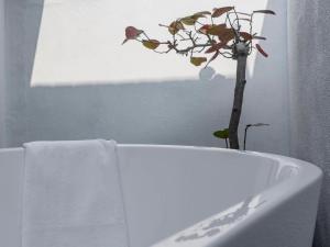 鹿港镇Sukinab&b喜歡旅居曲巷冬晴的浴室内白色浴缸里的植物