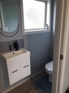 汉密尔顿Rural Gordonton Sleepout的一间带水槽、卫生间和镜子的浴室
