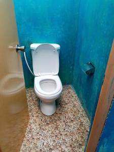 埃拉Cozy House Hostel的浴室设有蓝色摊位的卫生间