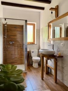 博尔沙Cabana Bogdi的浴室配有卫生间、盥洗盆和淋浴。