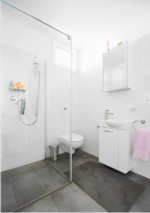 GambarognoCasa AmaRe - einzeln stehendes Haus mit spektakulärer Aussicht的带淋浴、卫生间和盥洗盆的浴室