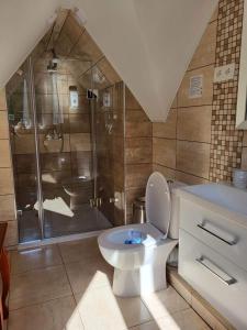 帕兰加Vila Florena的一间带卫生间和淋浴的浴室