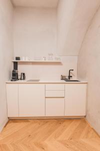 因斯布鲁克H5 Grauer Bär Studios & More的厨房配有白色橱柜和水槽