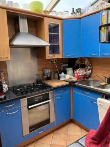 巴黎Full equiped house with garden的厨房配有蓝色橱柜和炉灶烤箱。