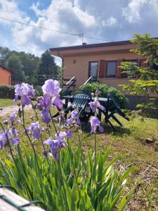 ValgianoChalet Grazia的一座花园,在房子前面种有紫色的花朵