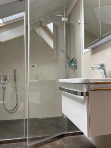 奥博奥多夫Oberaudorf-Kaiserblick的带淋浴和盥洗盆的浴室