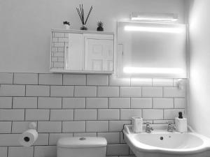 哈罗Flat in London- Modern 2 Bedroom Apartment Harrow near Wembley的一间带卫生间、水槽和镜子的浴室