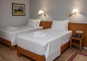地拉那阿尔伯酒店的配有白色床单的酒店客房内的两张床