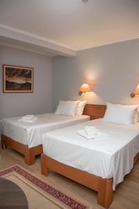 地拉那阿尔伯酒店的白色墙壁客房的两张床