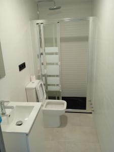 桑坦德Casa San Miguel 93 santander的浴室配有卫生间、盥洗盆和淋浴。