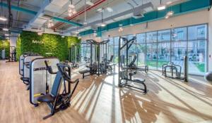 迪拜a chilled place的健身房设有跑步机和椭圆机