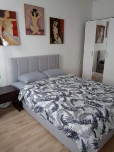 斯雷姆斯卡米特罗维察Ema的卧室内的一张床铺,墙上挂着照片