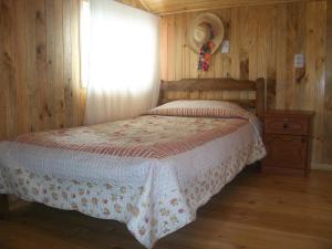 安库德Hostal Austral的一间卧室配有一张带白色床罩的床和窗户。