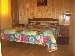 安库德Hostal Austral的一间卧室设有一张床和木墙