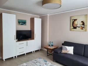 克卢日-纳波卡Pandora Central Apartment的带沙发和电视的客厅