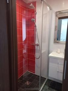 克莱佩达City center apartment的一间铺有红色瓷砖的淋浴浴室