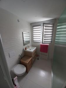 勒芒Magnifique maison à 5 mns du circuit des 24h à pieds的一间带卫生间、水槽和窗户的浴室