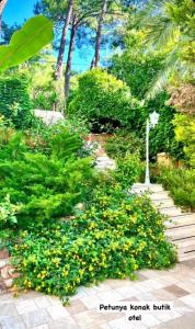 马尔马里斯佩图亚康纳克精品酒店的种着黄色花卉和灌木的花园,设有楼梯