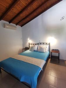 帕蒂迪里奥Pension Anna的一间卧室配有一张蓝色的床和木制天花板