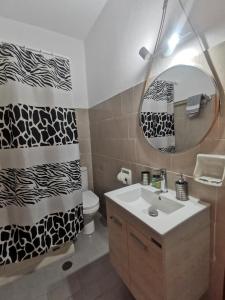 帕蒂迪里奥Pension Anna的一间带水槽、卫生间和镜子的浴室