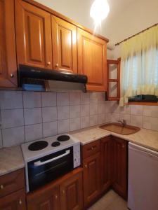 帕蒂迪里奥Pension Anna的厨房配有木制橱柜和炉灶烤箱。