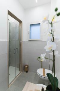 巴里Arco Alto Rooms的带淋浴和卫生间的浴室以及窗户。