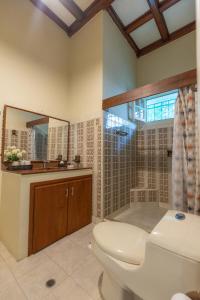 卡塔赫纳La casa azul的一间带卫生间、淋浴和镜子的浴室