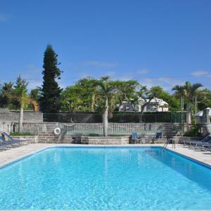 萨默塞特Willowbank Resort的一个带椅子和树木的大型蓝色游泳池