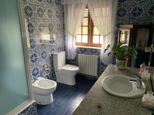 蒙考Alojamiento San Miguel的蓝色和白色的浴室设有卫生间和水槽