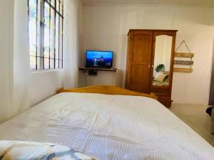 马埃堡Ecozy studio的一间卧室设有一张床、一台电视和一个窗口。