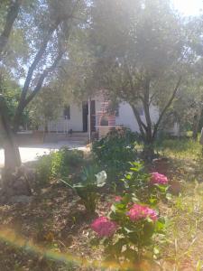 费特希耶Avci Villa-Fethiye 3+1 in Garden with Private Pool, 10 minutes to the beach的一座花园,在一座建筑前方种有粉红色花卉