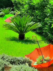 卡西诺Le Camerette di Edda的花园内摆放着两把橙色遮阳伞