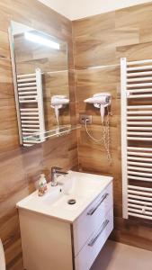波雷奇马里奇房屋酒店的一间带水槽和镜子的浴室
