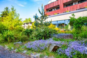伏尔塔瓦河畔利普诺Amenity Hotel & Resort Lipno的一座花园,在一座建筑前种有紫色花卉