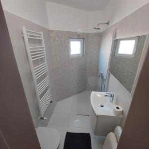 巴尔巴特纳拉布5 rooms apartman的一间带水槽和卫生间的小浴室