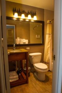 莫兰杰克逊湖旅馆的一间带卫生间、水槽和镜子的浴室