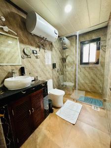 帕罗Silver Cloud Hotel的带淋浴、盥洗盆和卫生间的浴室