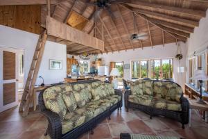 总督港Chez Cay Cottage cottage的客厅设有两张沙发和一个梯子