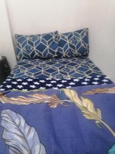 阿布扎比Matinxs Home的一张带蓝色和白色床单及枕头的床