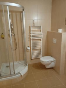 塞内奇科利巴酒店的带淋浴、卫生间和盥洗盆的浴室
