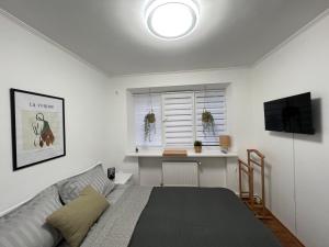 日托米尔Хостел Житомир GREEN HOUSE的一间卧室配有一张床、一张书桌和一个窗户。