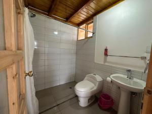 ChaupiIlinizas Mountain Lodge的一间带卫生间和水槽的浴室