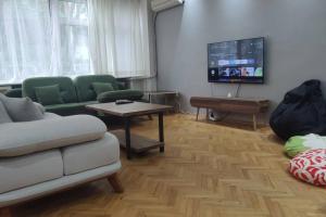 伊斯坦布尔Cozy Apt Nearby Beşiktaş - Keyif ve huzur dolu的带沙发和电视的客厅