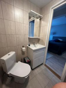 EmmasteKati Söögituba & Majutus的一间带卫生间、水槽和镜子的浴室