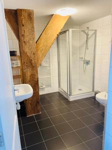 斯内克Verblijf bij Bynt的带淋浴、盥洗盆和卫生间的浴室